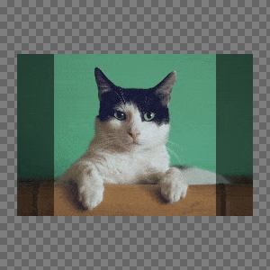 demo.gif
