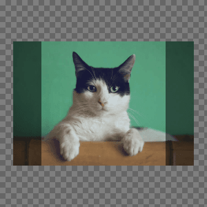 style_1.png