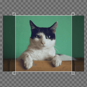 style_2.png
